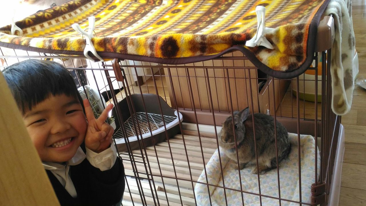 うさぎ 犬ケージにお引っ越し 手作りすのこ 自然のなかで暮らしたい