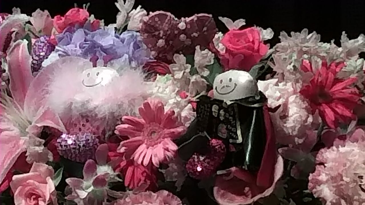 龍真咲さんラストお茶会の感想 胸を張って龍真咲が最高だと言えます ロミジュリと宝塚と 日常