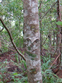 DSC00169b.jpg