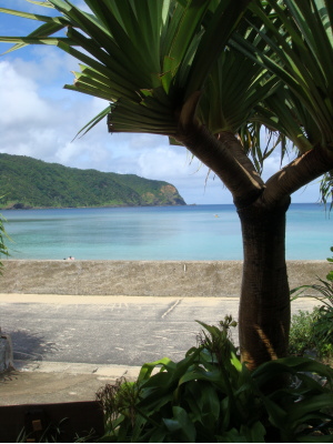 DSC00078b.jpg