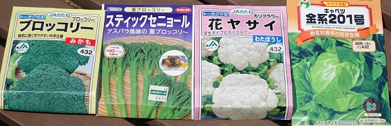 アブラナ科の種まき 18 キャベツ カリフラワー 茎ブロッコリー 頂花蕾ブロッコリー 湘南ひらつか清遊亭 アブラナ科の種まき 18 キャベツ カリフラワー 茎ブロッコリー 頂花蕾ブロッコリー 湘南ひらつか清遊亭
