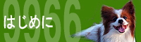 banner①