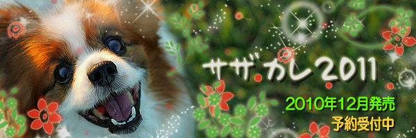 ¡Ú¥µ¥¶¥«¥ì2011¡Û¡¡¹¹ð