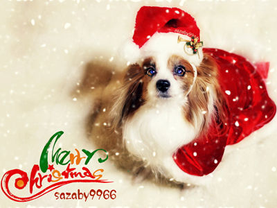 ¡ÚHappy Merry Christmas 2013¡Û¡¡01