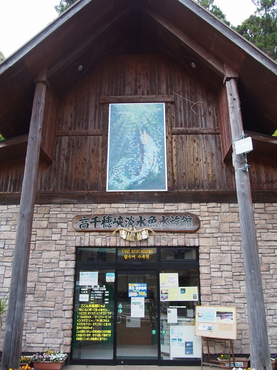 17 05 01 031 高千穂峡淡水魚水族館 宮崎県 N番煎じの全国水族館巡りlog 17 05 01 031 高千穂峡淡水魚水族館 宮崎県 N番煎じの全国水族館巡りlog