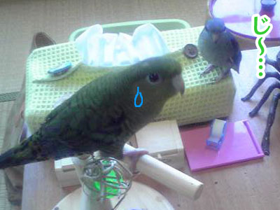 じー