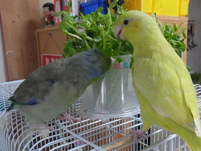 07
