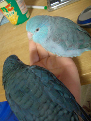 04