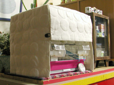 cover1