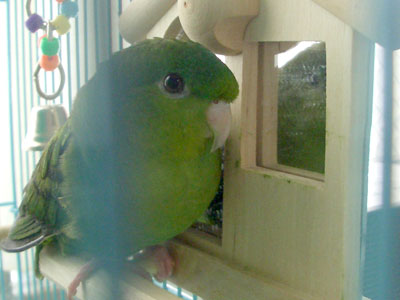uttori