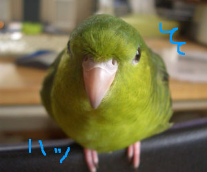 08