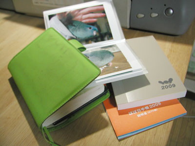 techo