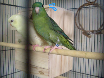 05