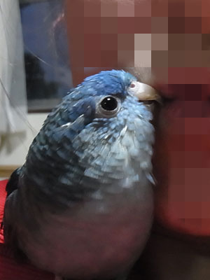 02