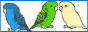 blogbanner