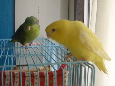 06
