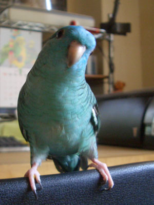 06
