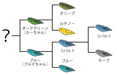 kettou