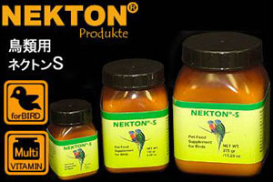 nekton