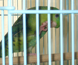 08