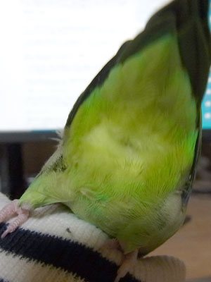 04