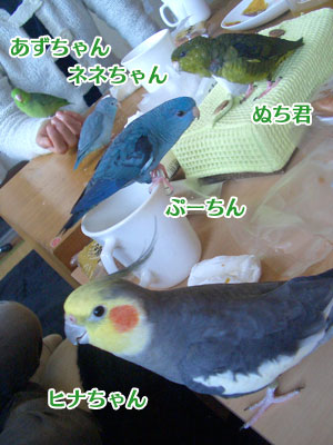 04