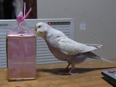16