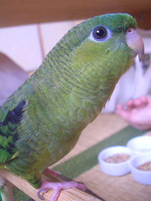 08