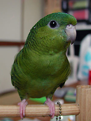 04