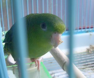 07
