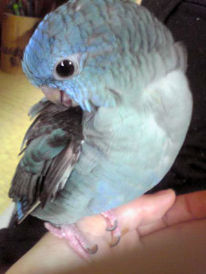 Image0071