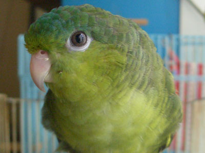 09