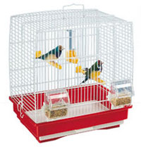 cage3