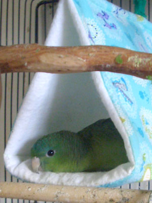 al