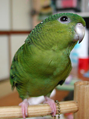 06