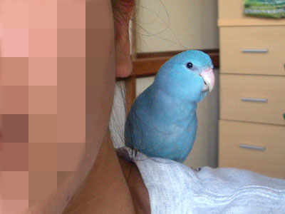 08