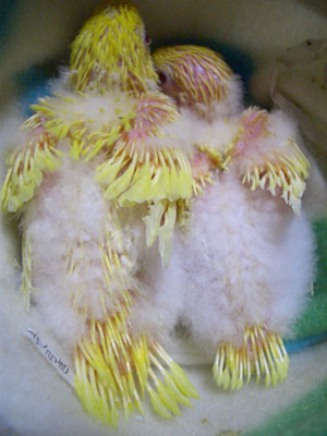 07