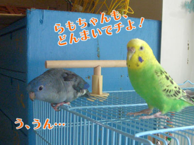 09