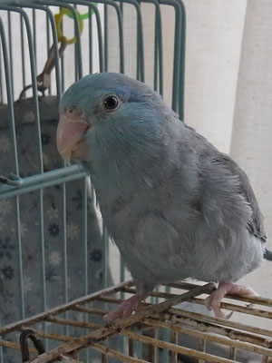 01