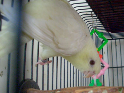 01