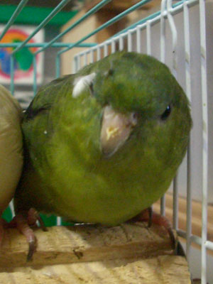 05