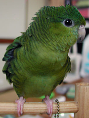 05