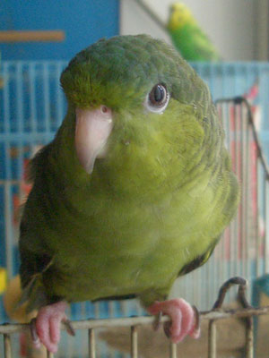 08