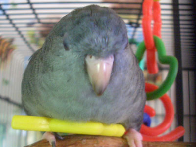 04