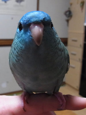 05