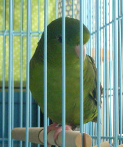 CIMG0906