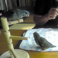 うわき3