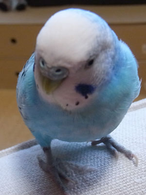 09
