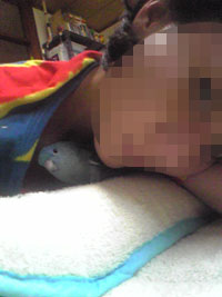 houcho