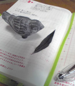 抜けた羽根